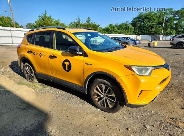 JTMRJREVXHD073426 2017 TOYOTA RAV4 Yellow წინა მარჯვენა