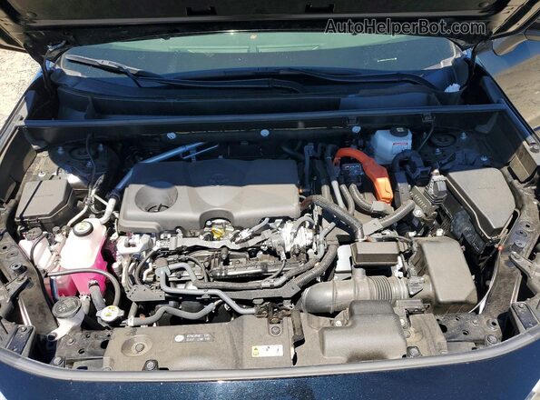 JTMRWRFV0RD253502 2024 TOYOTA RAV4 Black Սալոնի հետևի տեսք