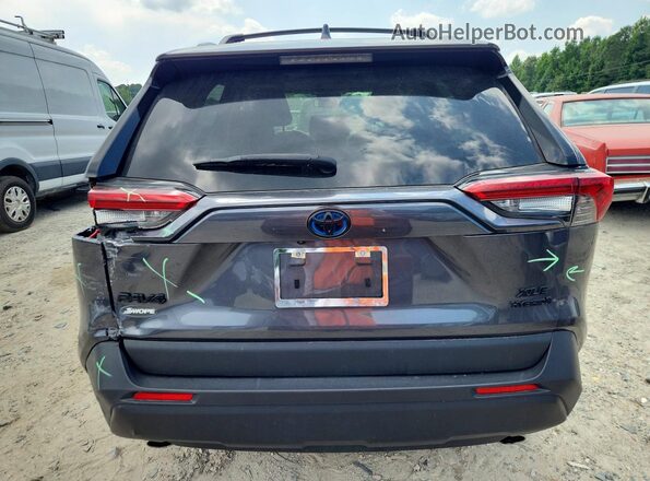 JTMRWRFV3PJ056743 2023 TOYOTA RAV4 Серый Вид сзади