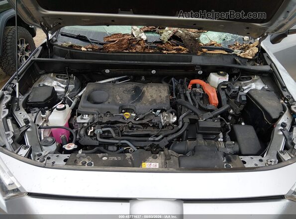 JTMRWRFV5SJ062438 2025 TOYOTA RAV4 HYBRID Серебряный Вид сзади