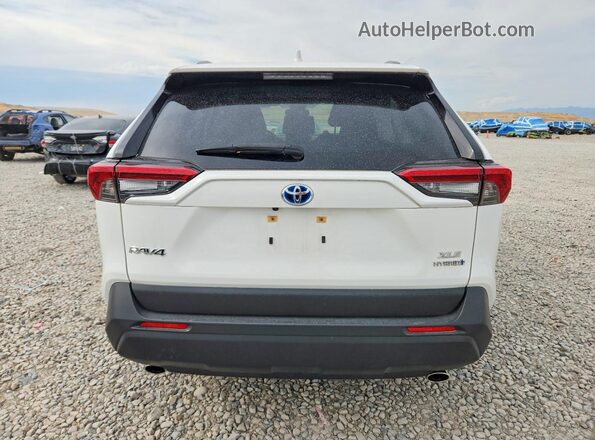 JTMRWRFV6PD187051 2023 TOYOTA RAV4 White Հետևի տեսք