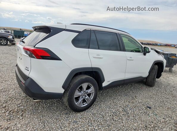 JTMRWRFV6PD187051 2023 TOYOTA RAV4 White Հետևի աջ