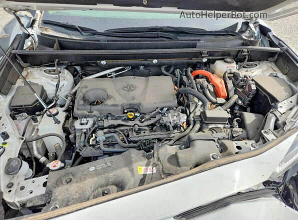 JTMRWRFV6PD187051 2023 TOYOTA RAV4 White Սալոնի հետևի տեսք