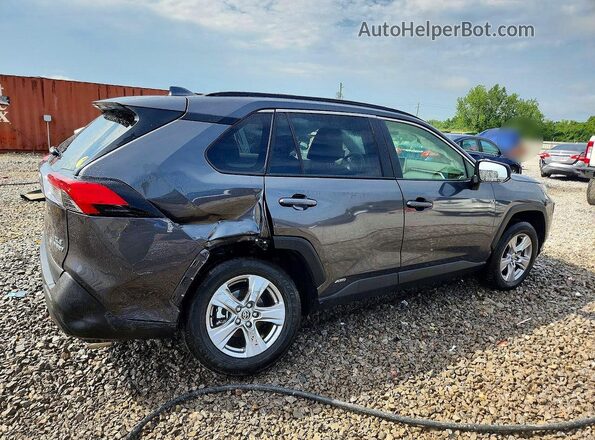 JTMRWRFV9RJ060024 2024 TOYOTA RAV4 Gray Задня права чверть