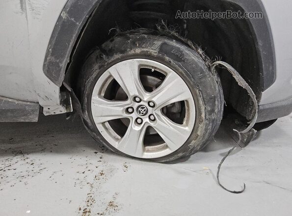 JTMW1RFV6KD019257 2019 TOYOTA RAV4 Серебряный 
