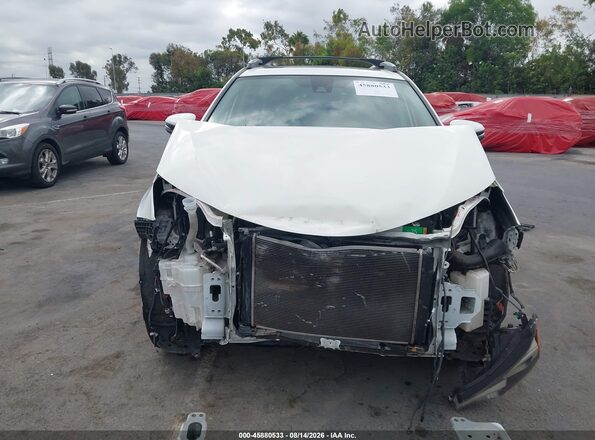 JTMWFREV1HD101425 2017 TOYOTA RAV4 White Widok wnętrza z tyłu