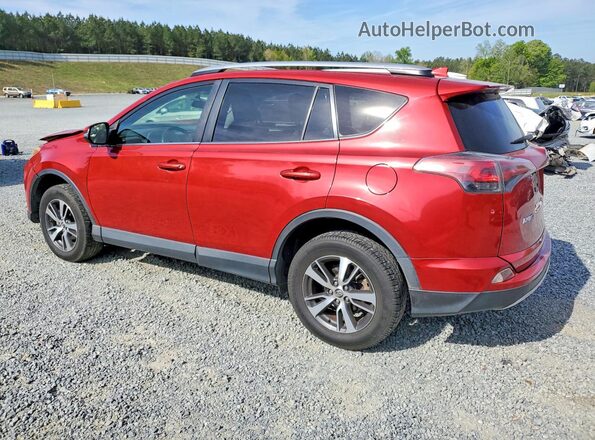 JTMWFREV2GJ082951 2016 TOYOTA RAV4 Red Tył lewy