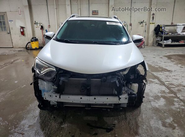 JTMYFREV4GJ069840 2016 TOYOTA RAV4 White Դիմացի տեսք