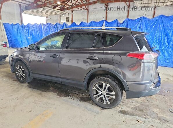 JTMZFREV5HJ104634 2017 TOYOTA RAV4 Gray Trasero izquierdo