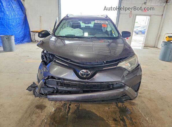 JTMZFREV5HJ104634 2017 TOYOTA RAV4 Gray Vista frontal