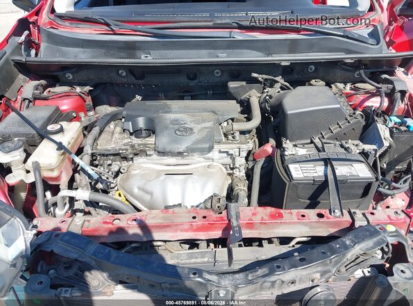 JTMZFREV5HJ124320 2017 TOYOTA RAV4 Red Widok z tyłu