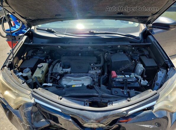 JTMZFREV9HJ719252 2017 TOYOTA RAV4 Черный Вид задней части салона