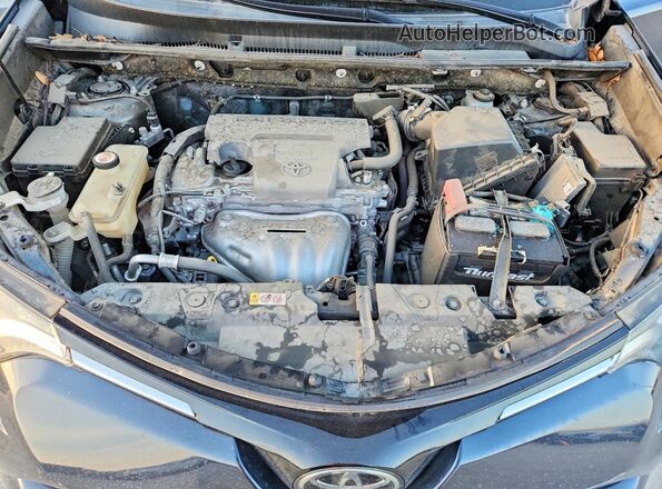 JTMZFREV9JJ752337 2018 TOYOTA RAV4 Синий Вид задней части салона