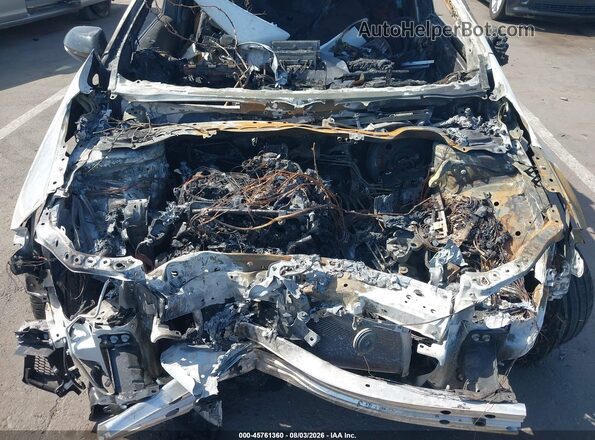 JTNABAAE4SA022753 2025 TOYOTA GR COROLLA Белый Вид сзади