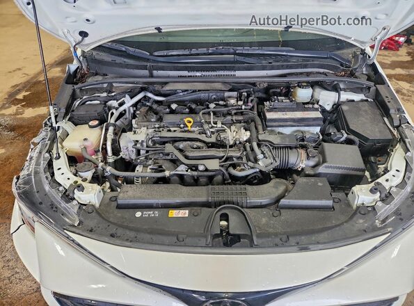 JTNK4RBE2K3029362 2019 TOYOTA COROLLA White Սալոնի հետևի տեսք