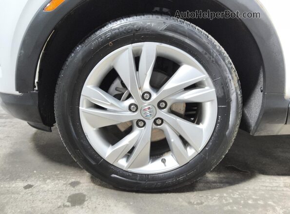 KL4AMBS21RB119934 2024 BUICK ENCORE White 