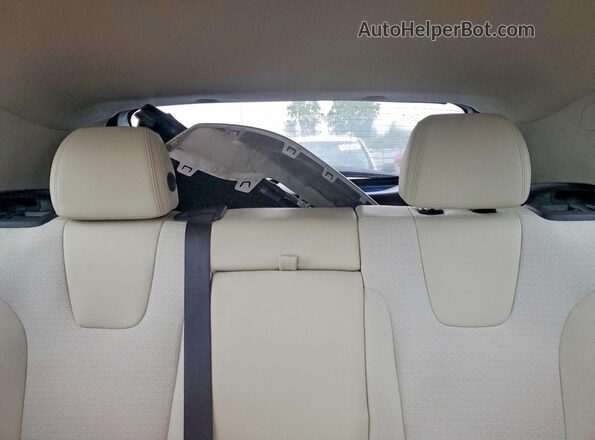 KL4MMDSL7MB015572 2021 BUICK ENCORE Blue Rear seats view