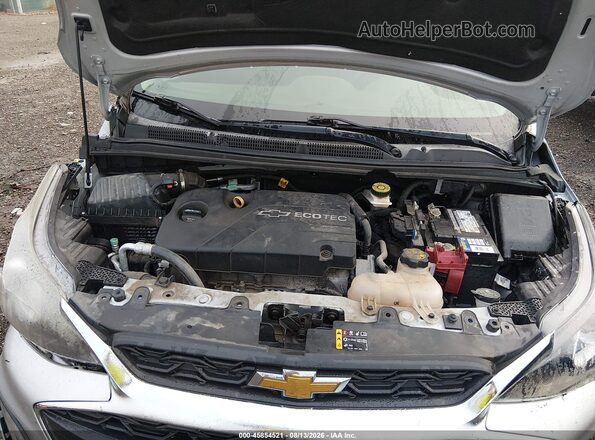 KL8CD6SAXLC447215 2020 CHEVROLET SPARK Silver Widok z tyłu