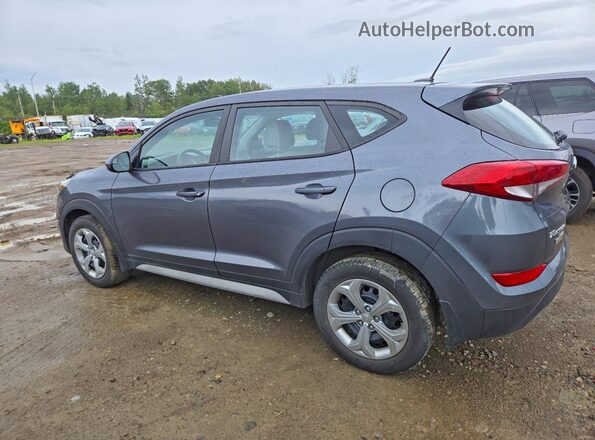 KM8J2CA44HU545006 2017 HYUNDAI TUCSON Серый Задняя левая четверть
