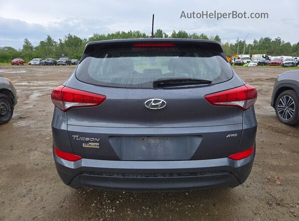 KM8J2CA44HU545006 2017 HYUNDAI TUCSON Серый Вид сзади