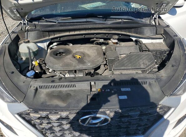 KM8J2CA45LU089090 2020 HYUNDAI TUCSON White Սալոնի հետևի տեսք