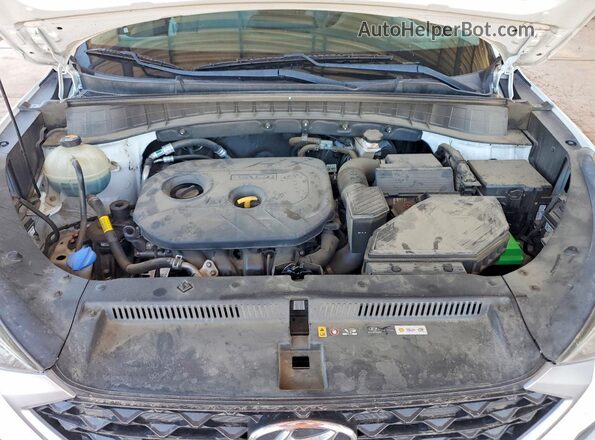 KM8J2CA45LU213066 2020 HYUNDAI TUCSON White Սալոնի հետևի տեսք