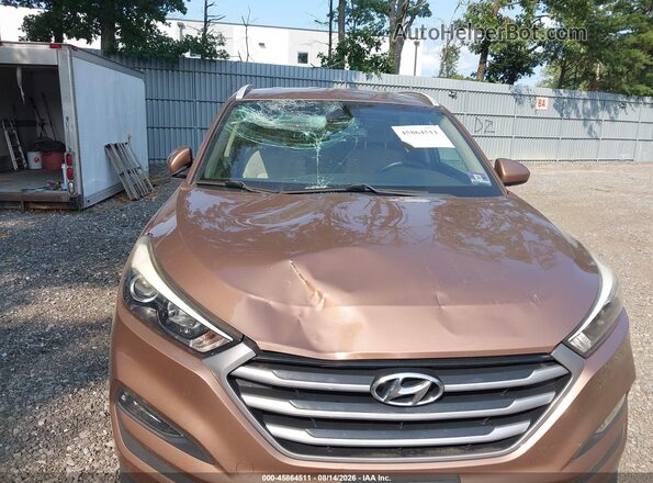 KM8J3CA47HU510568 2017 HYUNDAI TUCSON Brown Widok z przodu