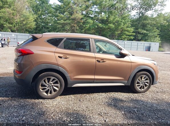 KM8J3CA47HU510568 2017 HYUNDAI TUCSON Brown Widok wnętrza z tyłu