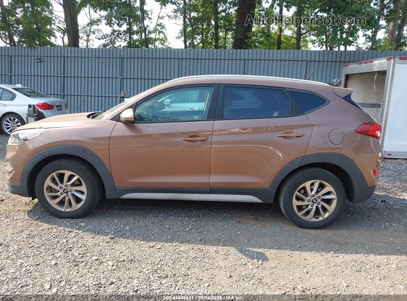 KM8J3CA47HU510568 2017 HYUNDAI TUCSON Brown Widok wnętrza 360 stopni