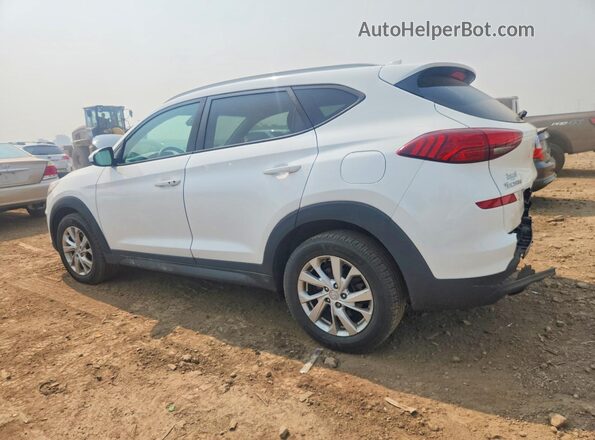 KM8J3CA48KU068231 2019 HYUNDAI TUCSON White Հետևի ձախ
