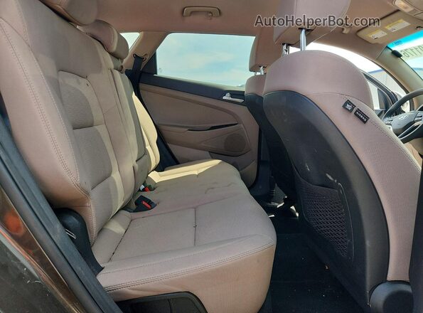 KM8J3CA49LU159896 2020 HYUNDAI TUCSON Коричневый Вид задней части салона
