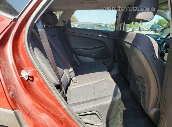 KM8J3CAL3LU112421 2020 HYUNDAI TUCSON Red Вид задньої частини салону
