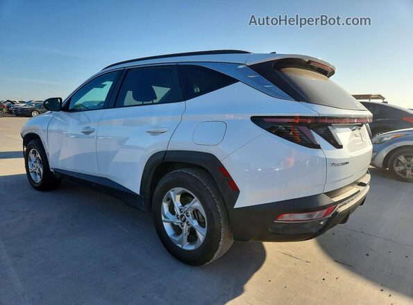 KM8JB3AE6PU204553 2023 HYUNDAI TUCSON White Задня ліва чверть