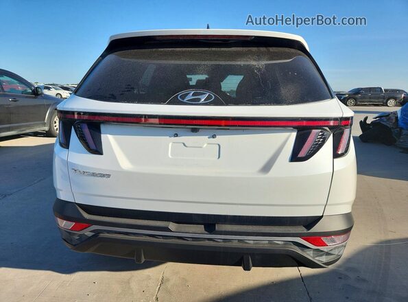 KM8JB3AE6PU204553 2023 HYUNDAI TUCSON White Вид ззаду