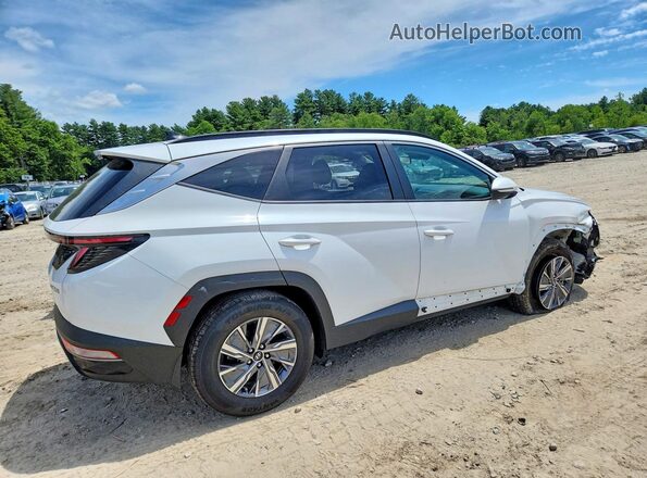 KM8JBCA13PU091318 2023 HYUNDAI TUCSON White Задня права чверть