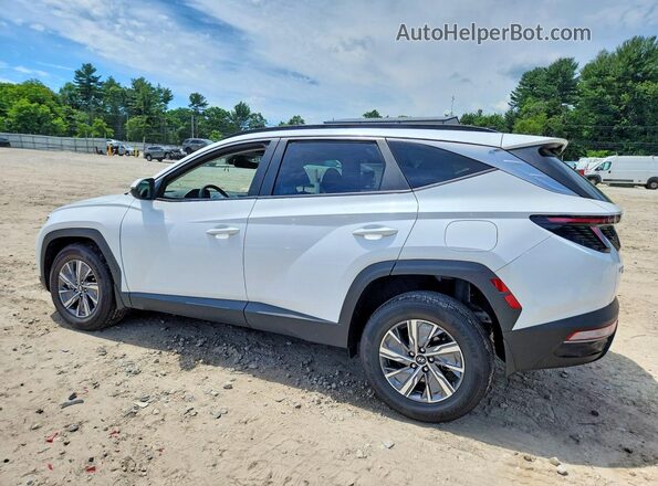 KM8JBCA13PU091318 2023 HYUNDAI TUCSON White Задня ліва чверть