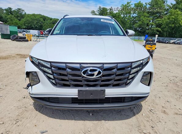 KM8JBCA13PU091318 2023 HYUNDAI TUCSON White Вид спереду
