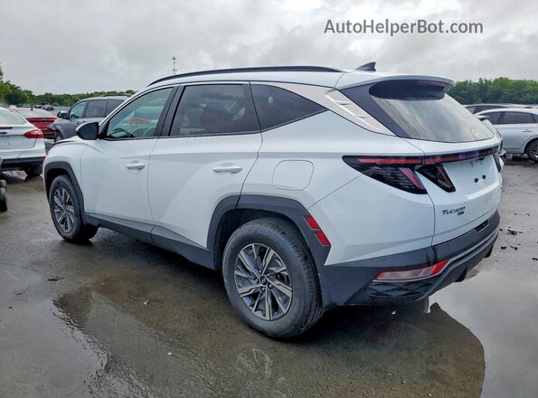 KM8JBCA15PU096410 2023 HYUNDAI TUCSON White Tył lewy