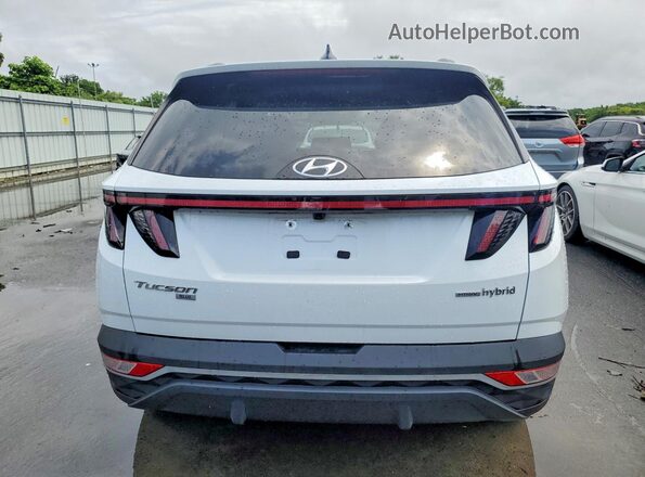 KM8JBCA15PU096410 2023 HYUNDAI TUCSON White Widok z tyłu
