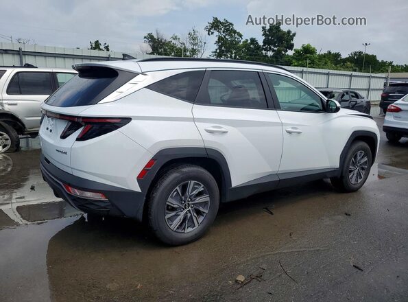 KM8JBCA15PU096410 2023 HYUNDAI TUCSON White Tył prawy