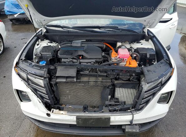 KM8JBCA15PU096410 2023 HYUNDAI TUCSON White Widok wnętrza z tyłu