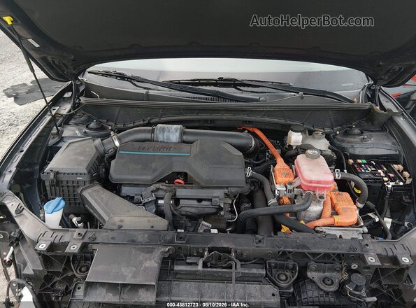 KM8JBCA18NU018863 2022 HYUNDAI TUCSON HYBRID Черный Вид сзади
