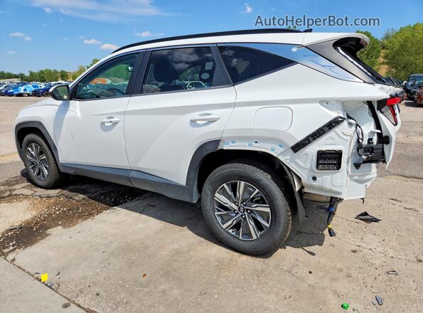KM8JBCA18NU020841 2022 HYUNDAI TUCSON Белый Задняя левая четверть