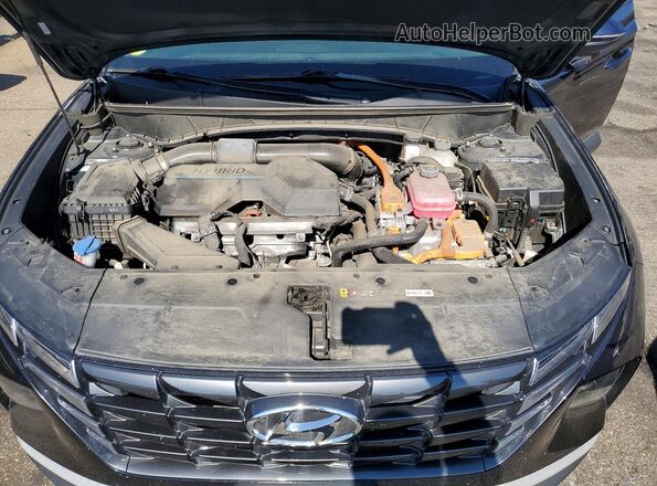 KM8JBCA19NU075055 2022 HYUNDAI TUCSON Blue Widok wnętrza z tyłu