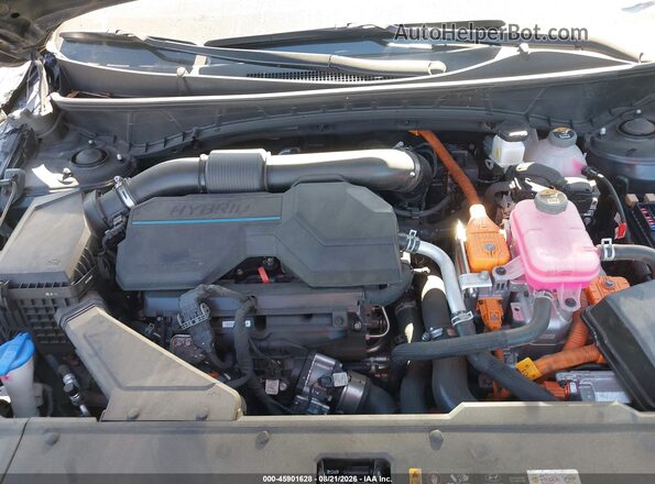 KM8JBCD10RU219710 2024 HYUNDAI TUCSON HYBRID Синий Вид сзади