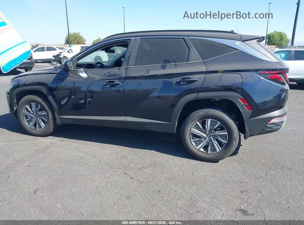KM8JBCD10RU219710 2024 HYUNDAI TUCSON HYBRID Синий Панорамный вид салона 360°