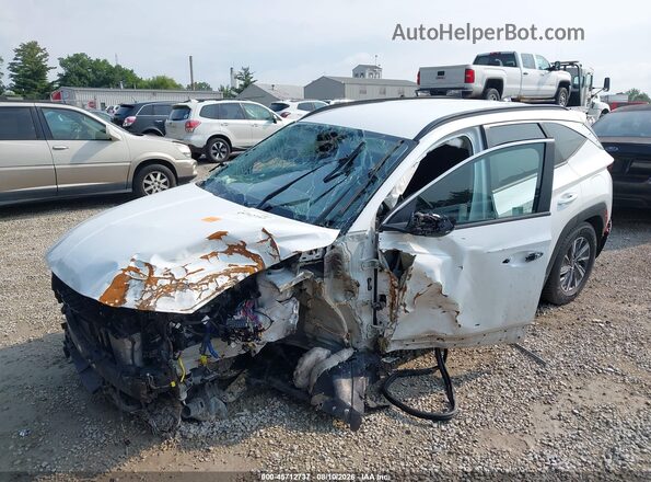 KM8JBCD16RU198636 2024 HYUNDAI TUCSON HYBRID White Vista frontal