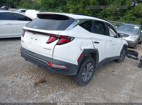 KM8JBCD16RU198636 2024 HYUNDAI TUCSON HYBRID White Trasero derecho