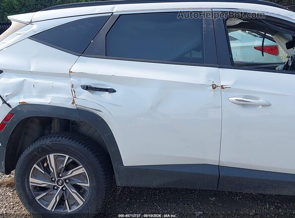 KM8JBCD16RU198636 2024 HYUNDAI TUCSON HYBRID White 
