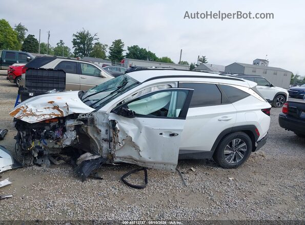 KM8JBCD16RU198636 2024 HYUNDAI TUCSON HYBRID White 